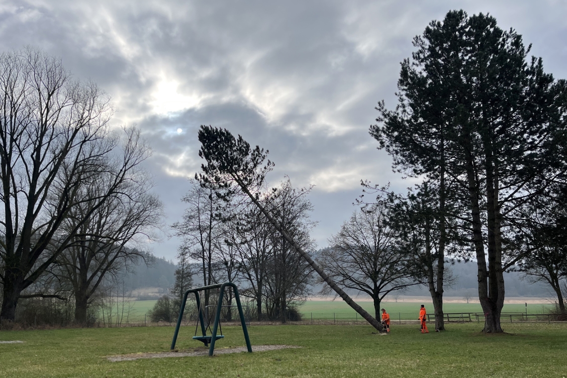 Die Arbeiten für den Landkreislehrgarten haben begonnen