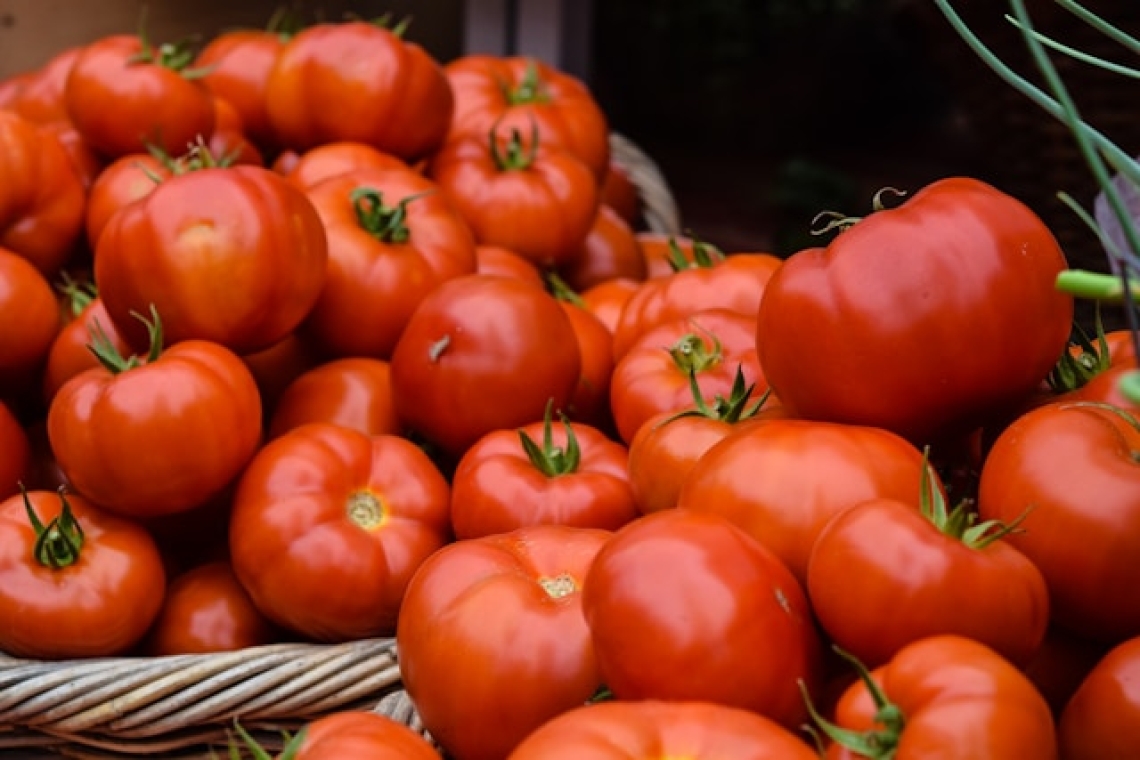 Tomaten sind das Lieblingsgemüse der Deutschen 