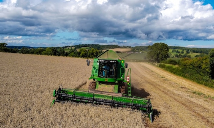 Bauernverband legt ernüchternde Bilanz für Erntebilanz vor 